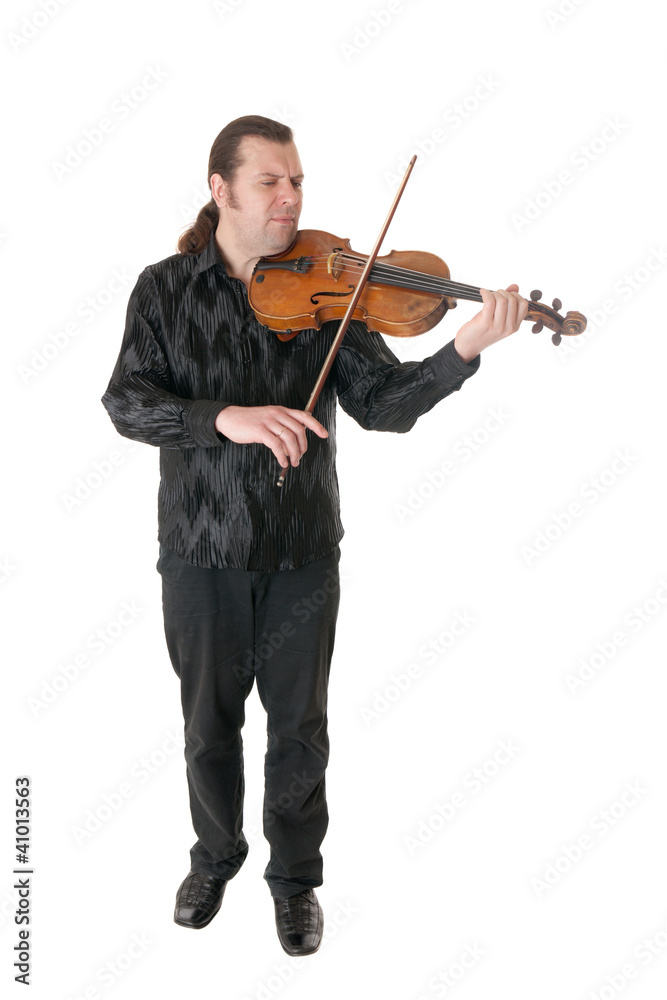 musician playing a viola musician playing a viola