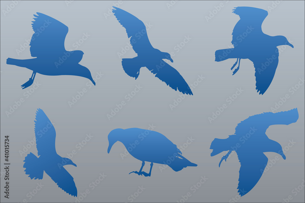 Fototapeta premium Vector Seagull Silhouettes