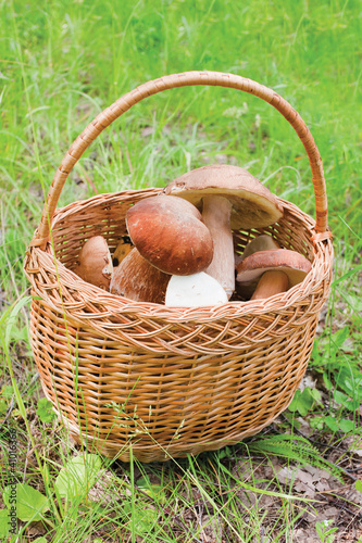 Mushrooms in basket on grass
