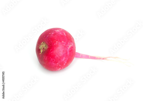 radish on a white background