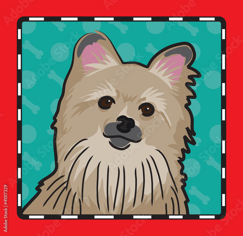 Pomeranian Cartoon