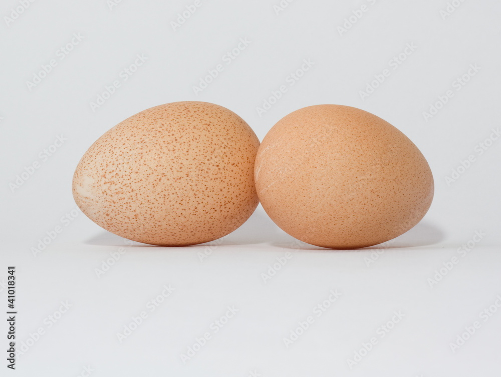 Eggs of a guinea fowl Eggs of a guinea fowl