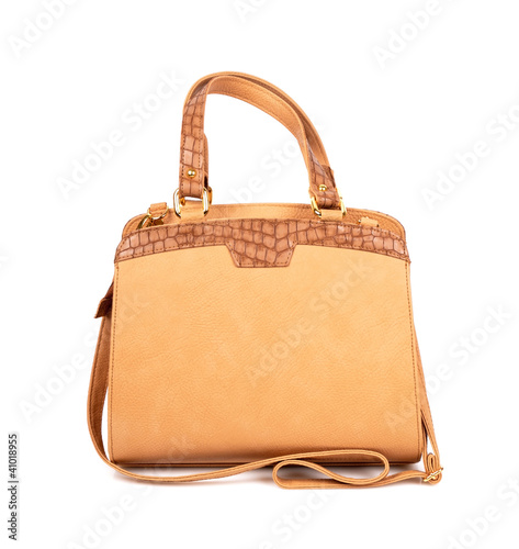 Elegant women bag isolated over white