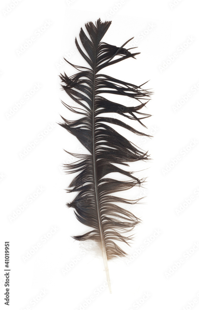 Obraz premium black pen on white background
