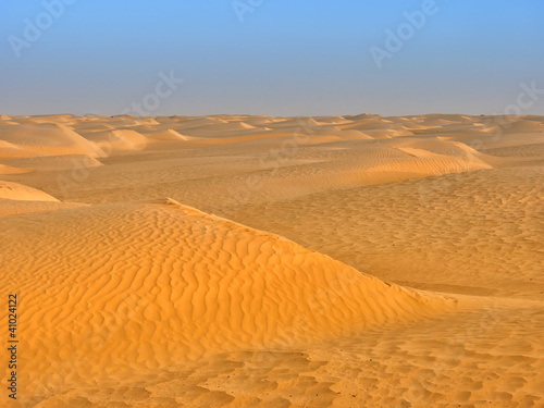 sand dunes of the desert