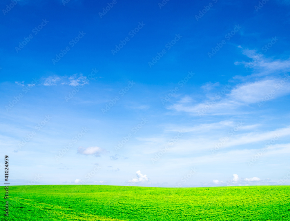 field field