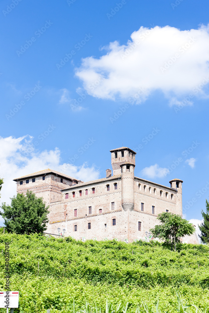 Grinzane Cavour Castle with vineyard, Piedmont, Italy