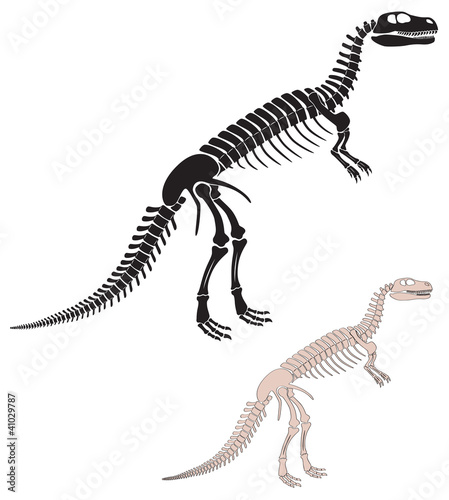 dinosaur skeleton