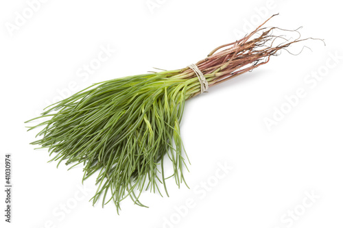Foto Bunch of fresh Saltwort