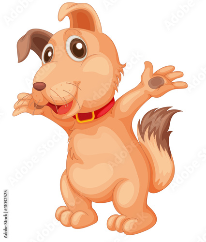 Cute dog