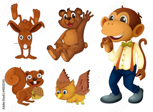Brown animal collection