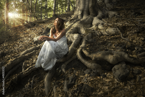 Fairy of the forest