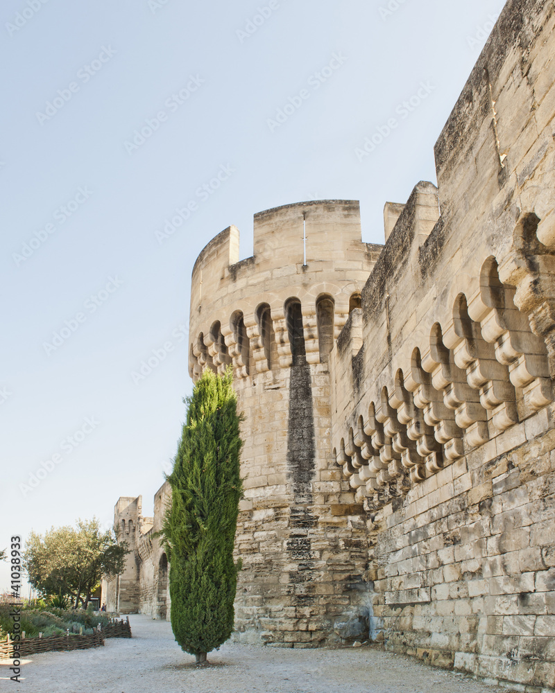 Wall with Towers & Gate at Avignon France