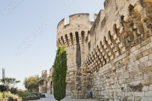 In and Around the Walls of Avignon