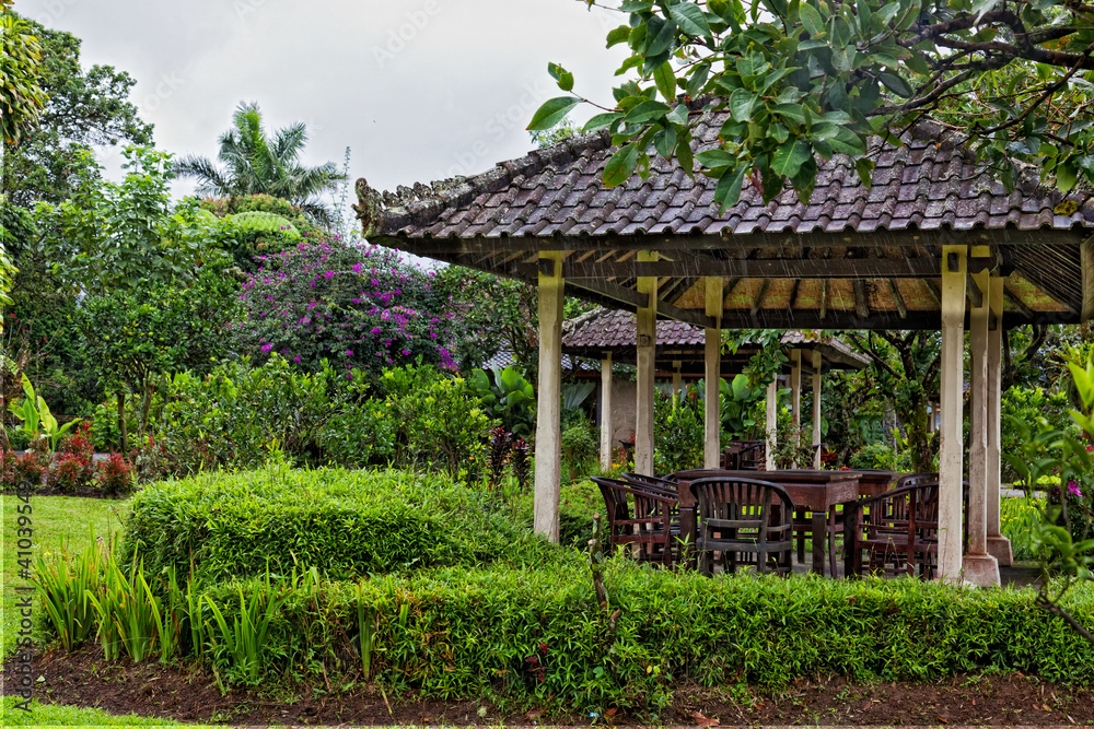 Arbor in thickets of tropical plants under a tropical rain