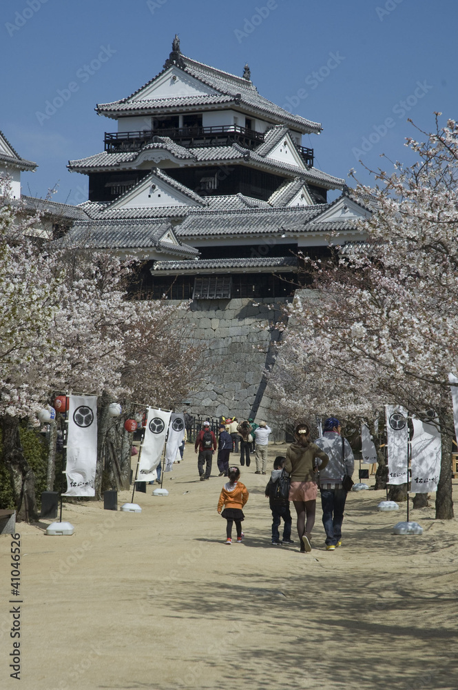 Obraz premium Matsuyama Castle, Matsuyama, Japan