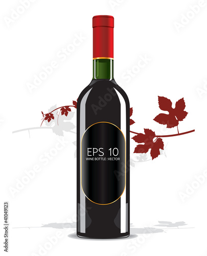 Bottle of wine vector