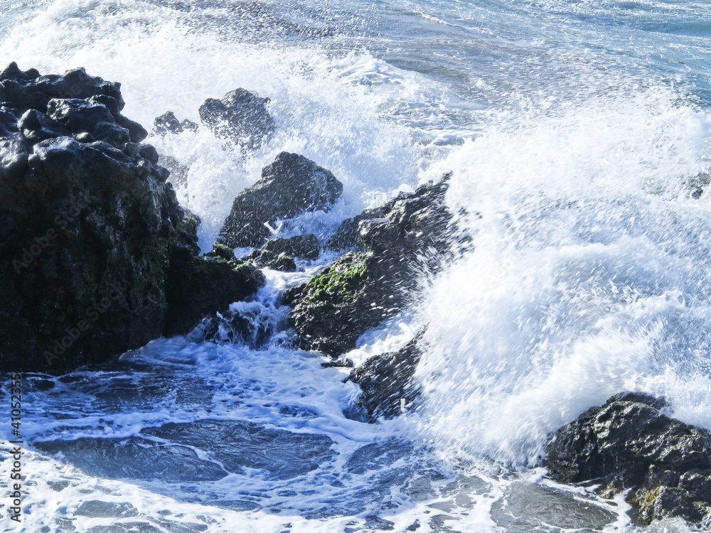 Fototapeta premium ocean wave