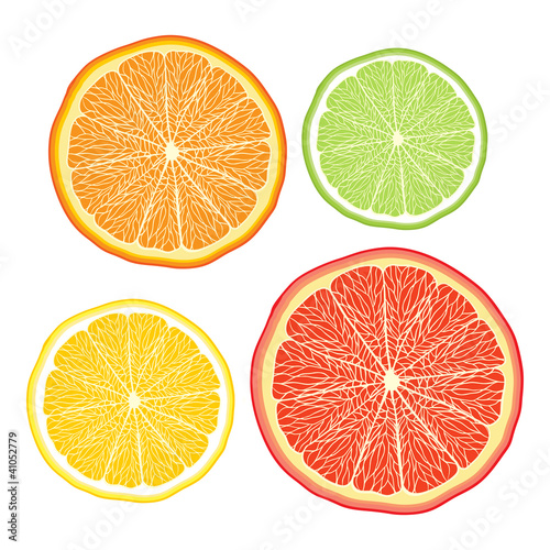 Vector stylised orange, lemon, grapefruit, lime on white