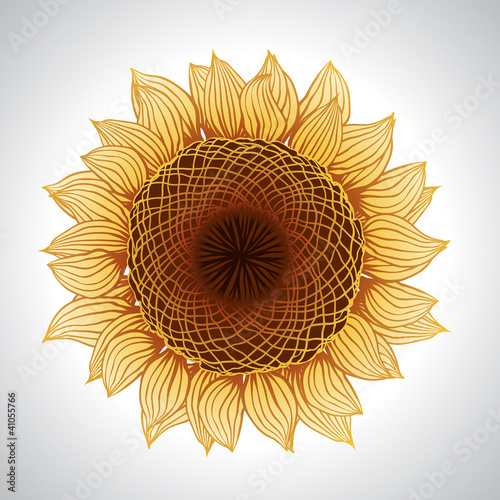 Vector illustration of sunflower. Flower element for design.