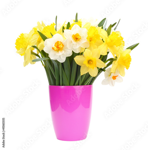 Fototapeta Naklejka Na Ścianę i Meble -  narcissus bouquet in pot