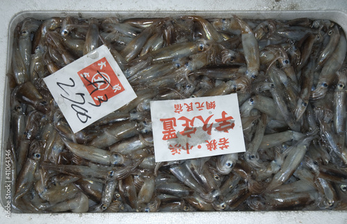 Small squid, seafood market, Japan