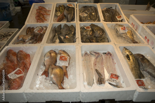 Fish, seafood market, Japan