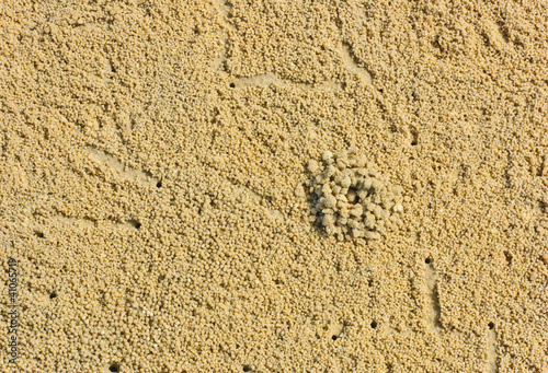 Beach sand of crab markings