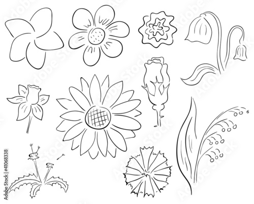 Fototapeta Naklejka Na Ścianę i Meble -  Vector primitive black and white contour flowers collection