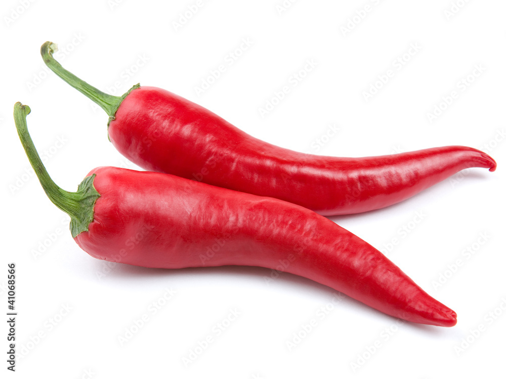 two red hot chili pepper isolated on a white background two red hot chili pepper isolated on a white background