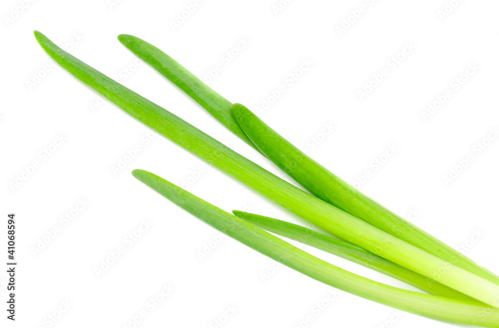 fresh green onions isolated on white