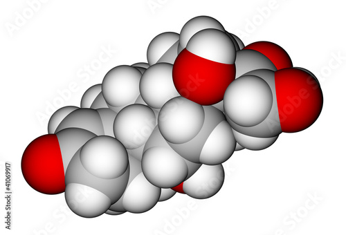 Cortisol space-filling molecular model