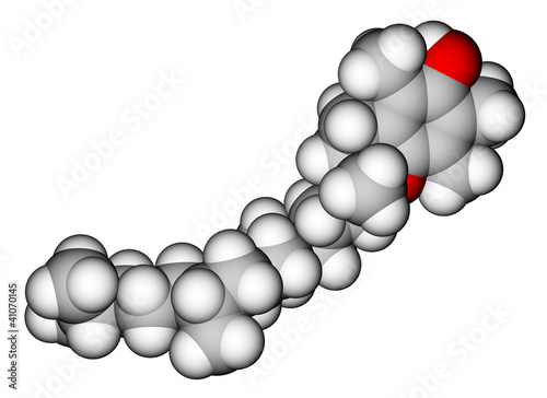 Alpha-tocopherol (vitamin E) space-filling molecular model