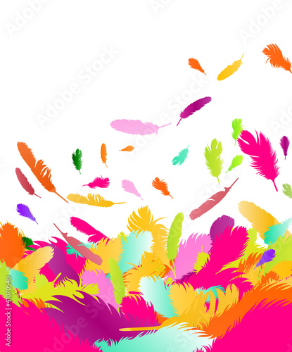 Exotic feather vector background photo