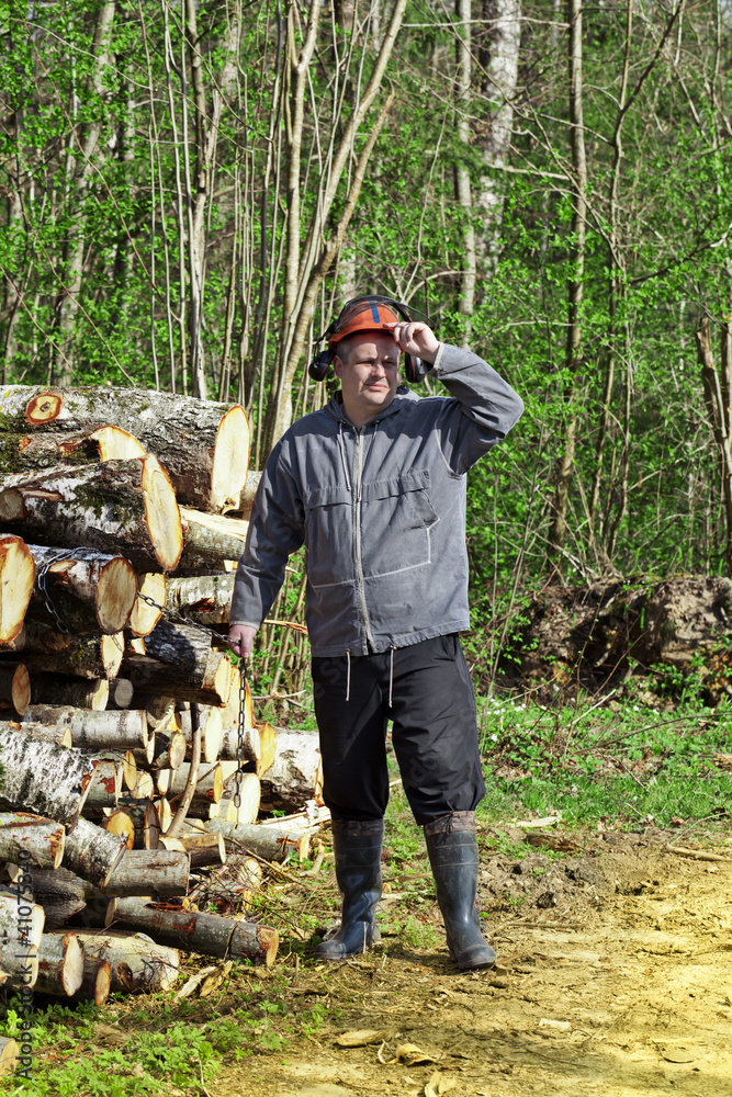 Obraz premium Lumberjack near a pile of logs