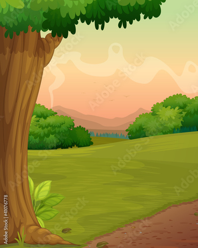 country path