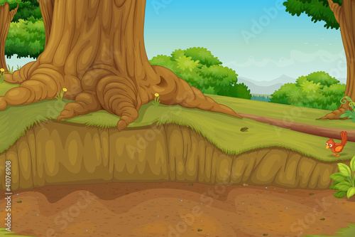 dirt path
