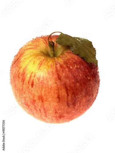 Single Bareaburn Apple