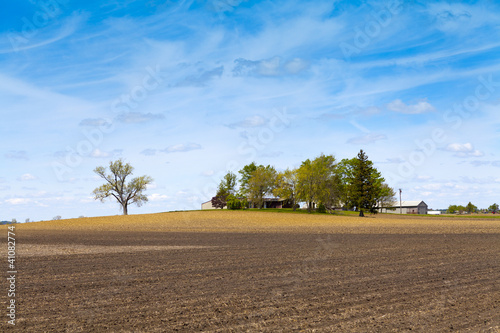 Country Landscape