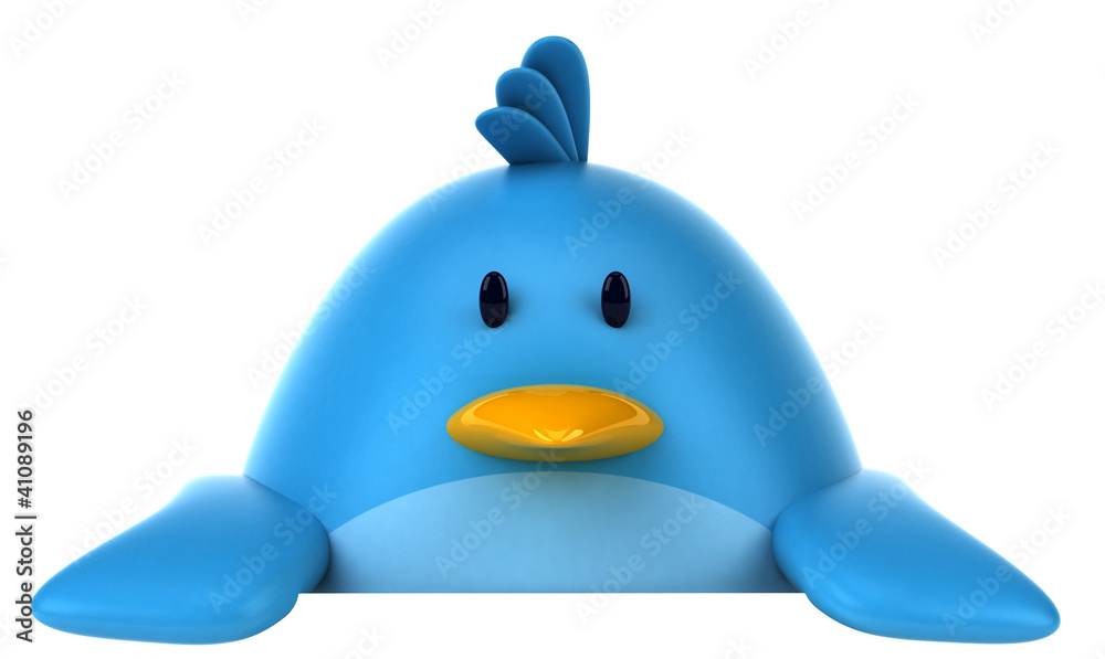 Blue bird Blue bird