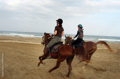 Horse Riding in Oman