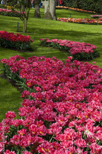 Parchi Olandesi fioriti