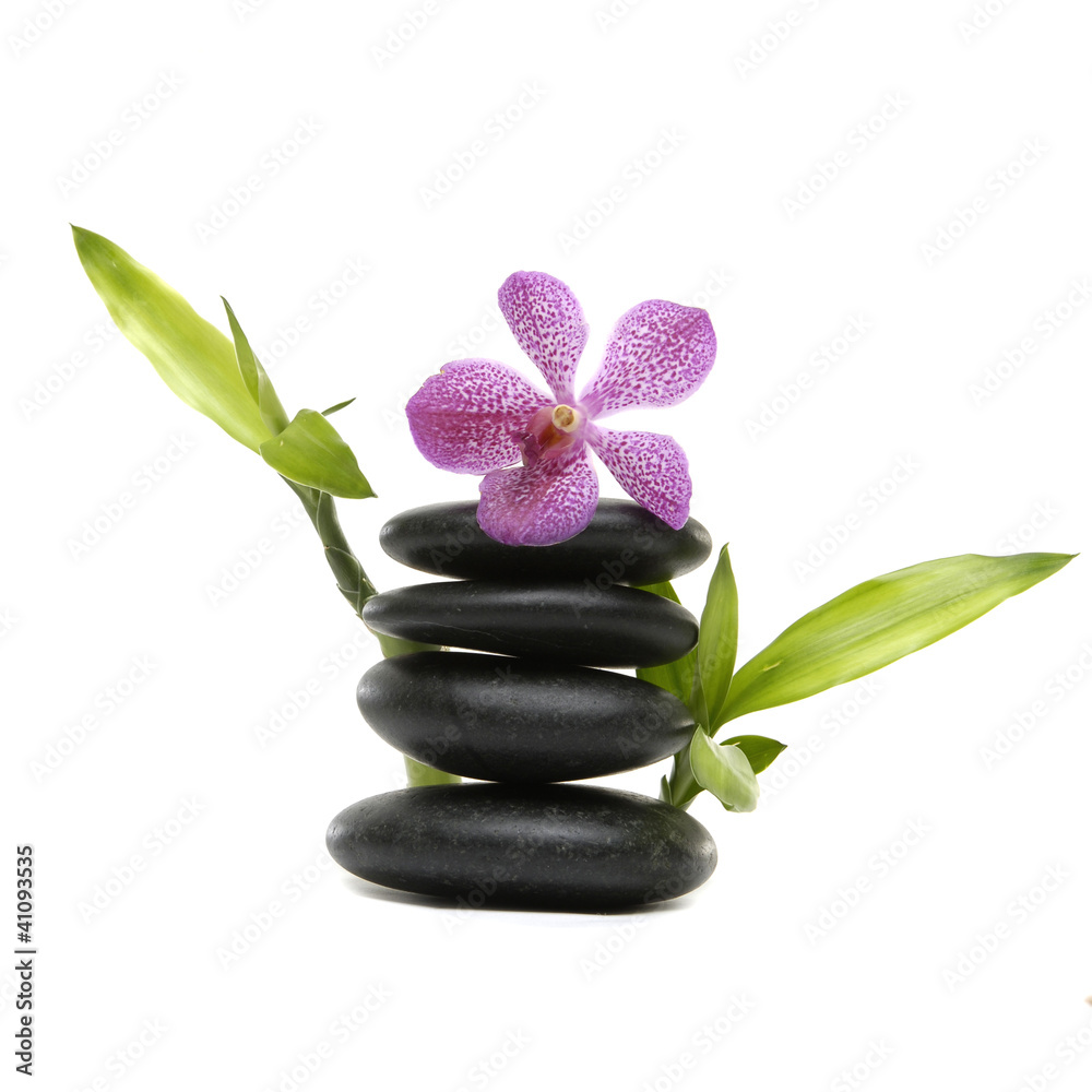bamboo grove and branch orchid on pebble bamboo grove and branch orchid on pebble