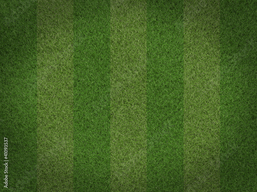Green grass background 3d render © lznogood