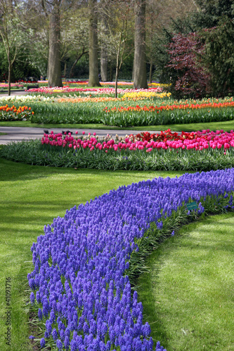 Parco floreale con giacinti e tulipani