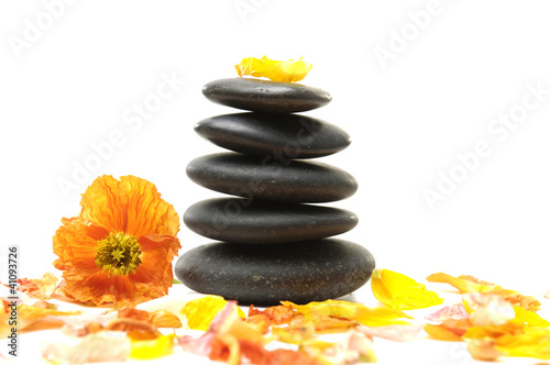 stones stacked and poppy with colorful flower plants