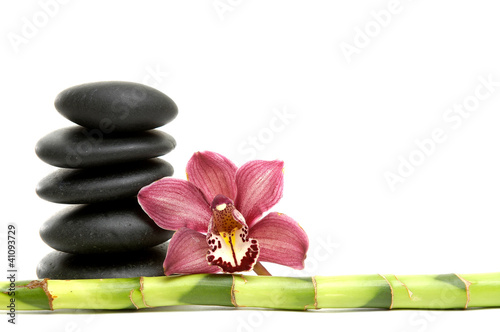 Beautiful orchid flower and balanced stones and stick