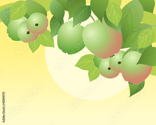 apples