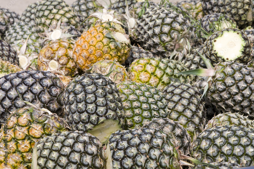 Pineapple fruit Pineapple fruit