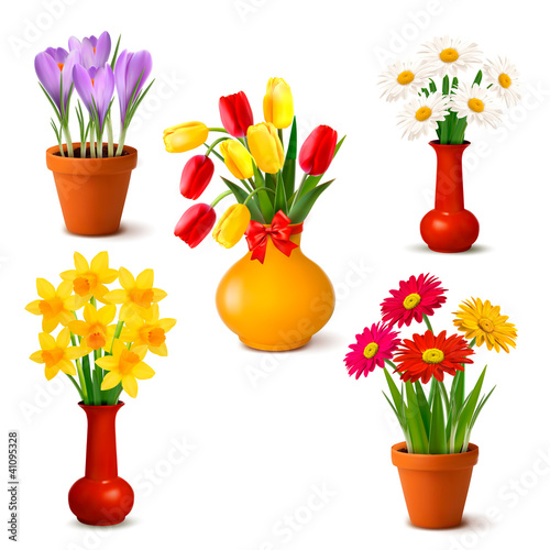 Fototapeta Naklejka Na Ścianę i Meble -  Spring and summer colorful flowers in vases  Vector